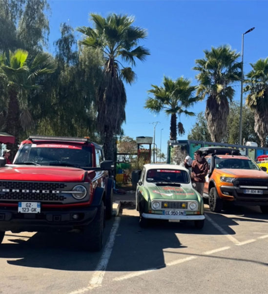 Olivette à Séville - 20-02-2026